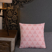 Load image into Gallery viewer, Take Phlyt Premium Pillow